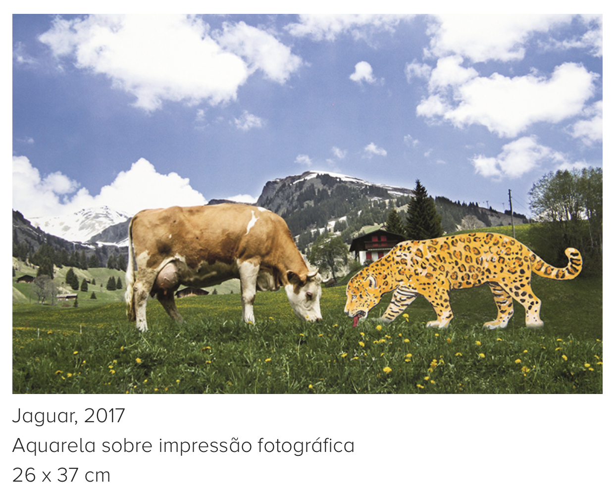 Aquarela Jaguar - Eduardo Srur