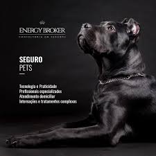 Energy Broker Seguros