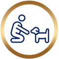 Pets